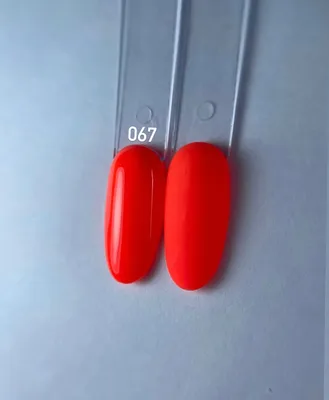 לק ג''ל KOYO גוון 067 - Kiklak - יבוא ושיווק ציוד לציפורניים וקוסמטיקה